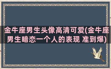 金牛座男生头像高清可爱(金牛座男生暗恋一个人的表现 准到爆)